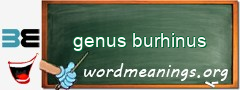 WordMeaning blackboard for genus burhinus